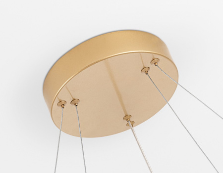 Фото Подвесной светильник Ambrella Light FL FL5508