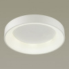 Фото Накладной светильник Odeon Light Sole 4062/50CL