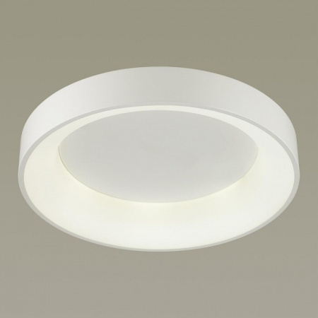 Фото Накладной светильник Odeon Light Sole 4062/50CL