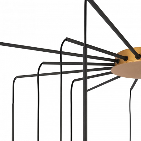 Фото Потолочная люстра Maytoni Branch MOD176PL-16G