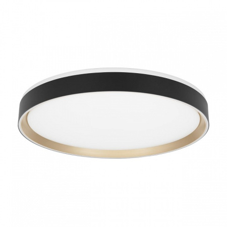 Фото Накладной светильник Citilux BOSS CL751451G