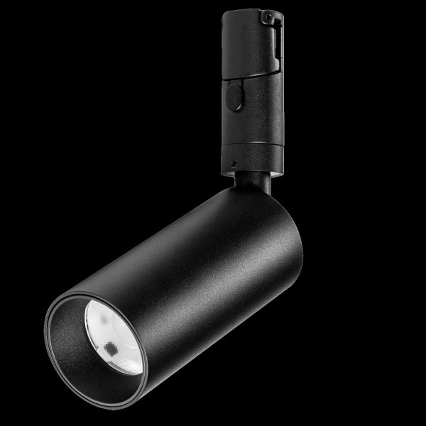 Фото Светильник на штанге Lightstar DUE 207237