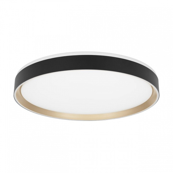 Фото Накладной светильник Citilux BOSS CL751451G