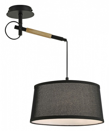 Фото Светильник на штанге F-promo Eureka 3006-1P