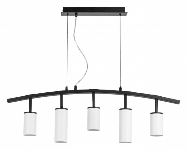 Фото Подвесной светильник Lightstar Rullo LR735363862