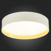 Открыть Накладной светильник EVOLUCE Brescia SLE300552-01 Фото Накладной светильник EVOLUCE Brescia SLE300552-01