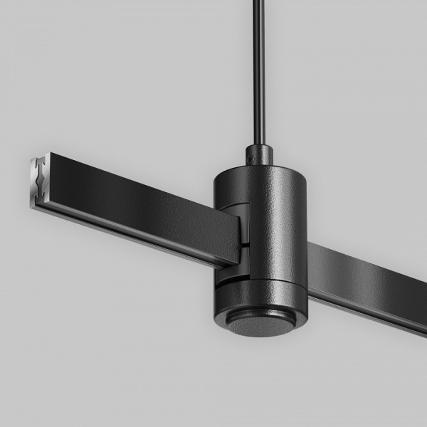 Фото Подвес для трека Maytoni Accessories for tracks Flarity TRA157SW-B1-B