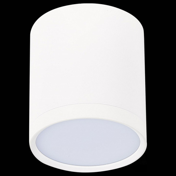 Фото Накладной светильник ST-Luce Rene ST113.532.05