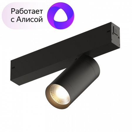 Открыть Светильник на штанге Denkirs Dk80 DK8010-BK Фото Светильник на штанге Denkirs Dk80 DK8010-BK
