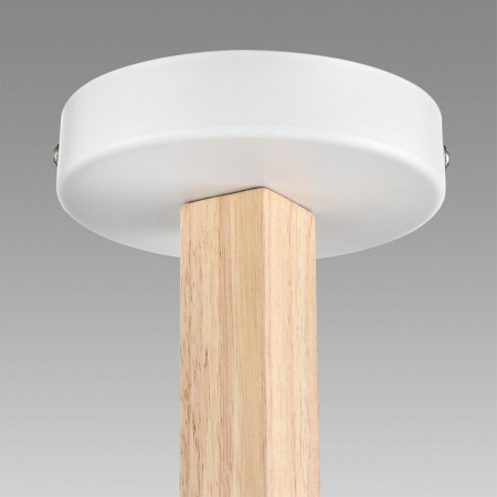 Фото Люстра на штанге Lumion Colange 8095/6C