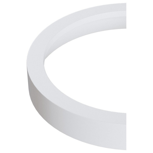 Фото Вставка декоративная Maytoni Accessories for downlight DLA040-01W