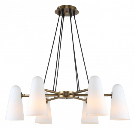 Фото Подвесная люстра Favourite Vision 2763-6P