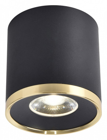 Фото Накладной светильник Favourite Prakash 3086-2C