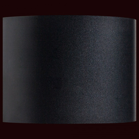 Фото Накладной светильник Lightstar Dalla 340547