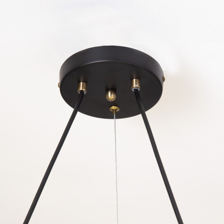 Фото Подвесная люстра Citilux Планета CL105195