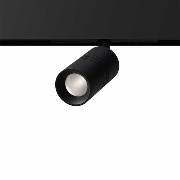 Фото Светильник на штанге Arte Lamp Expert A5740PL-1BK