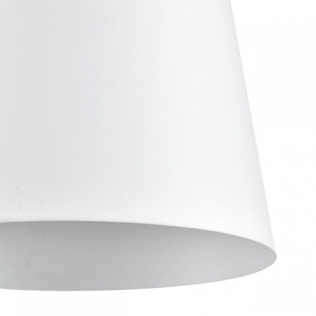 Фото Люстра на штанге Lumion Rosalina 8097/6C