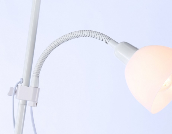 Фото Торшер с подсветкой Ambrella Light TR TR97622