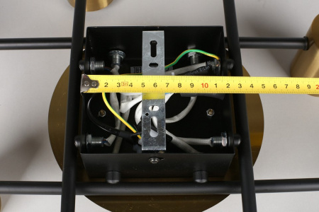 Фото Потолочная люстра Aployt Elwisia APL.633.07.10