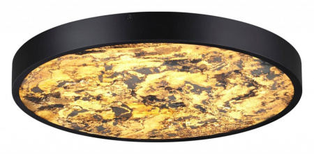 Фото Накладной светильник Odeon Light Bergi 5064/40L