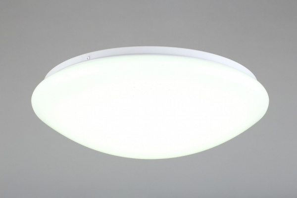 Фото Накладной светильник Omnilux Berkeley OML-43007-40