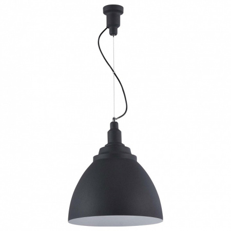 Фото Подвесной светильник Maytoni Bellevue P535PL-01B