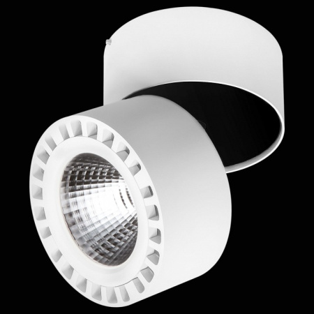 Фото Спот Lightstar Forte 381363