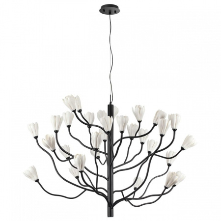 Фото Подвесная люстра Odeon Light Gardi 5090/30