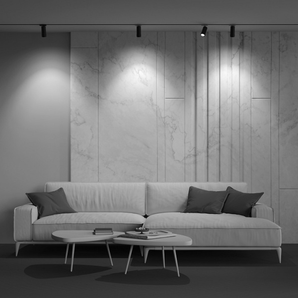 Фото Светильник на штанге Maytoni Focus Zoom TR021-1-12B3K-Z-B