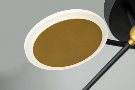 Фото Потолочная люстра Escada Cassiopeia 10247/8LED