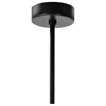 Фото Люстра на штанге Lightstar Globo 813197