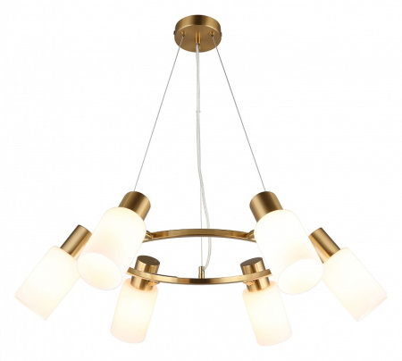 Фото Подвесная люстра Omnilux Ales OML-69103-06