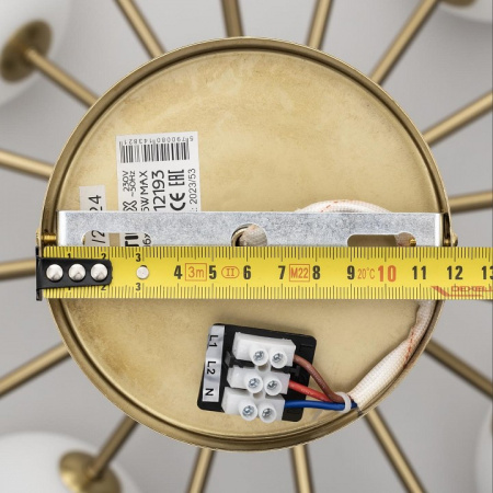 Фото Люстра на штанге Citilux Tonga CL212193