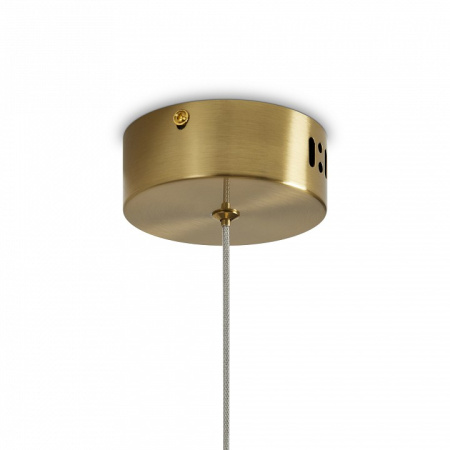 Фото Подвесной светильник Freya Lolli FR6139PL-L8BS1