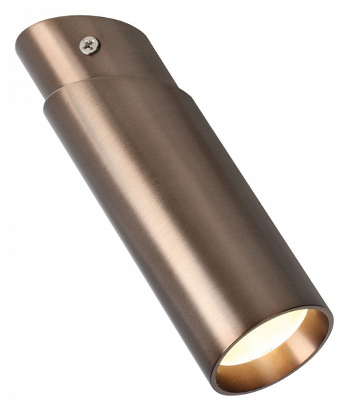 Открыть Накладной светильник Favourite Insuper 2798-1U Фото Накладной светильник Favourite Insuper 2798-1U