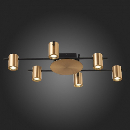 Фото Потолочная люстра ST-Luce Veroli SL1207.402.06