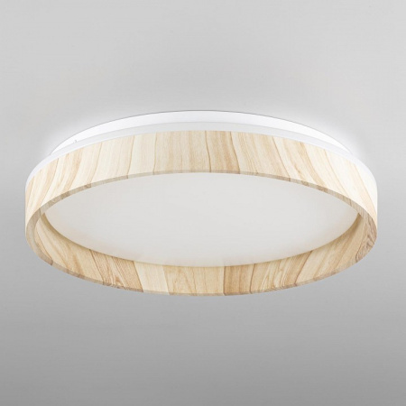 Фото Накладной светильник Citilux ENZO CL753352G