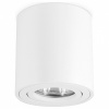 Накладной светильник Ambrella Light TN TN22701 Накладной светильник Ambrella Light TN TN22701