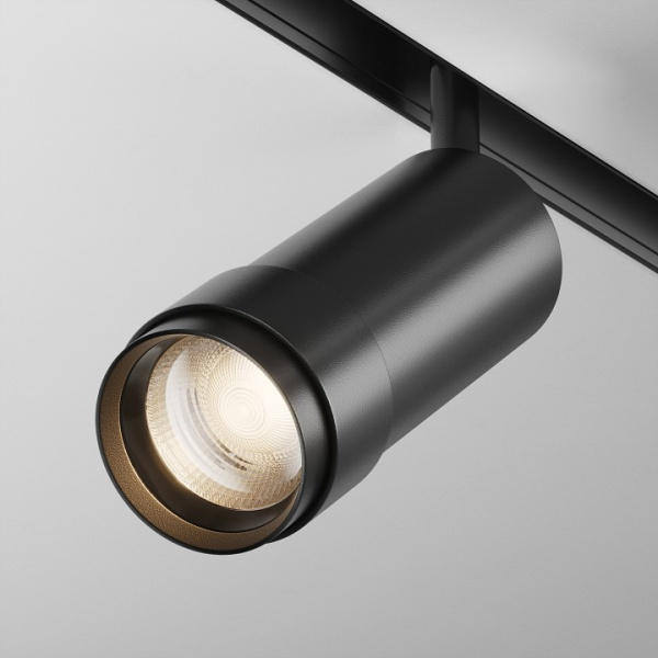 Фото Светильник на штанге Maytoni Focus Zoom TR211-1-12W3K-Z-B