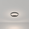 Фото Накладной светильник Maytoni Rim MOD058CL-L25BK