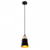 Открыть Подвесной светильник Arte Lamp Thomas A7032SP-1BK Фото Подвесной светильник Arte Lamp Thomas A7032SP-1BK
