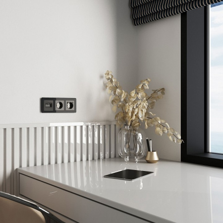 Фото Накладка для розетки Ethernet RJ-45 Werkel графит акрил W1191144