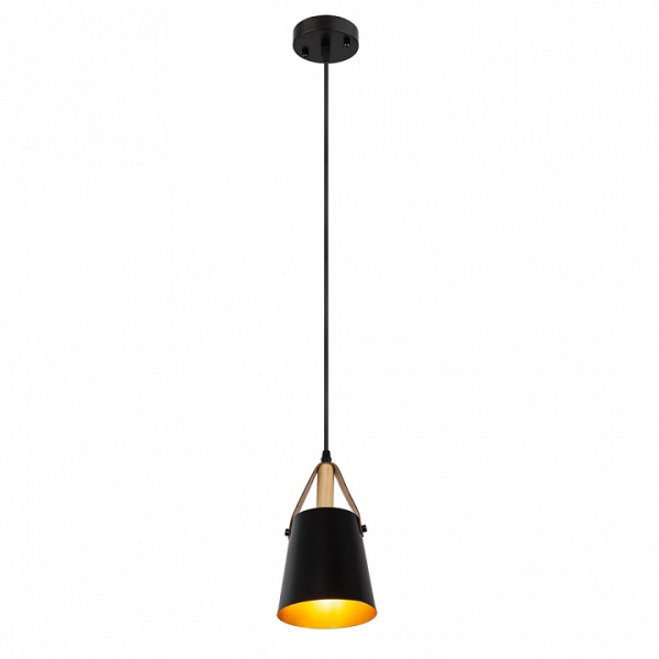 Открыть Подвесной светильник Arte Lamp Thomas A7032SP-1BK Фото Подвесной светильник Arte Lamp Thomas A7032SP-1BK