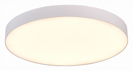 Фото Накладной светильник ST-Luce ST606 ST606.532.96