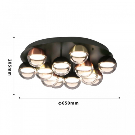 Фото Потолочная люстра Favourite Luna 4371-12C