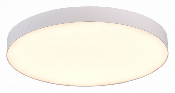 Фото Накладной светильник ST-Luce ST606 ST606.532.96