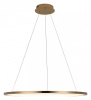 Фото Подвесной светильник Loft it Ring 10014L