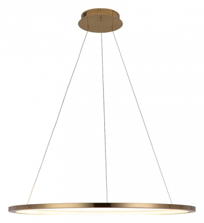 Фото Подвесной светильник Loft it Ring 10014L