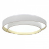 Открыть Накладной светильник EVOLUCE Crosby SLE6009-502-01 Фото Накладной светильник EVOLUCE Crosby SLE6009-502-01