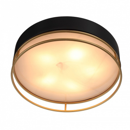 Фото Накладной светильник ST-Luce Chodo SL1127.432.05